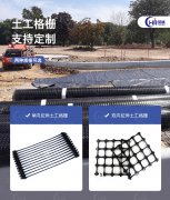 单向拉伸土工格栅网 双向拉伸土工格栅网